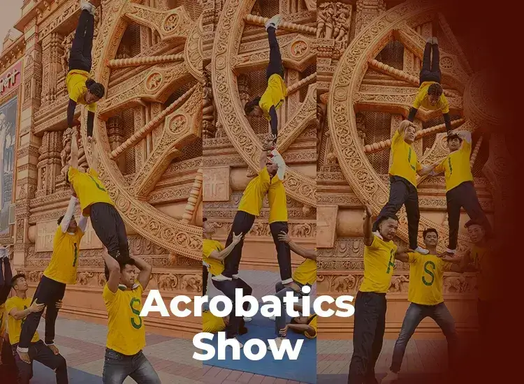 Acrobatics Show